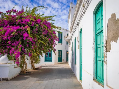 HUMEDADES EN LANZAROTE Ver página →