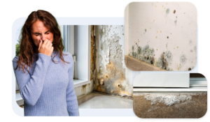 Humedad por condensacion en las Islas Canarias